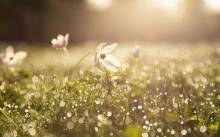 carre vert paysagiste eyguieres