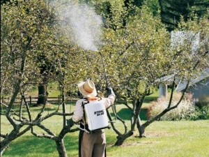 Notre zone d'activité pour ce service Réparation motoculteur Stihl Pélissanne 13 dans les Bouches-du-Rhône