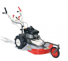 Nos prestations sur le secteur de Arles 13120 en région PACA